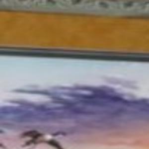 Holmen Wildlife Artist Wins State Stamp Competition News