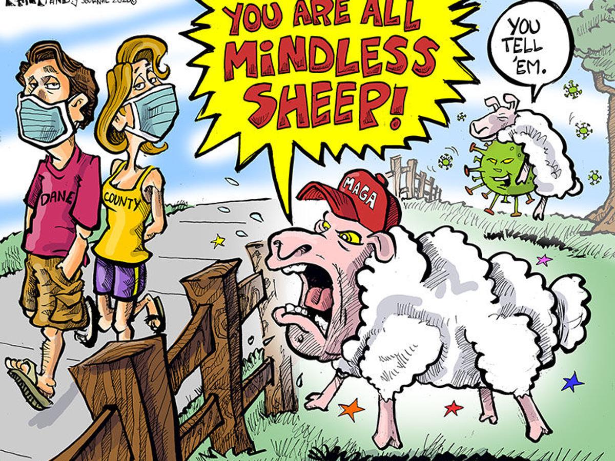 Hands On Wisconsin Anti Maskers Are The Real Sheep Opinion Lacrossetribune Com