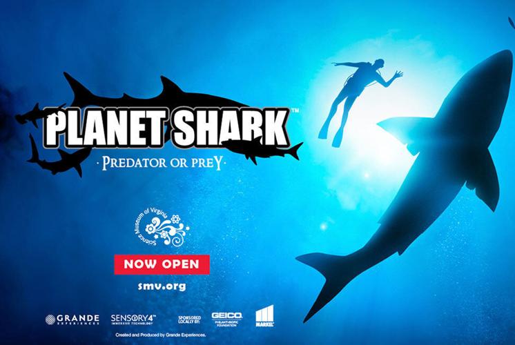 Planet_Shark_Exhibition.jpg