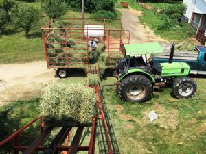 Farmers urged to check hay for heat as concern grows about barn fires