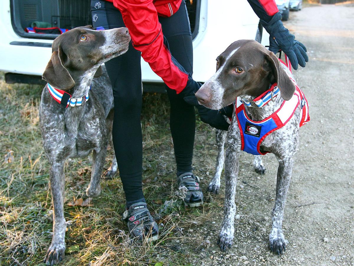 Photos Sled Dog Training