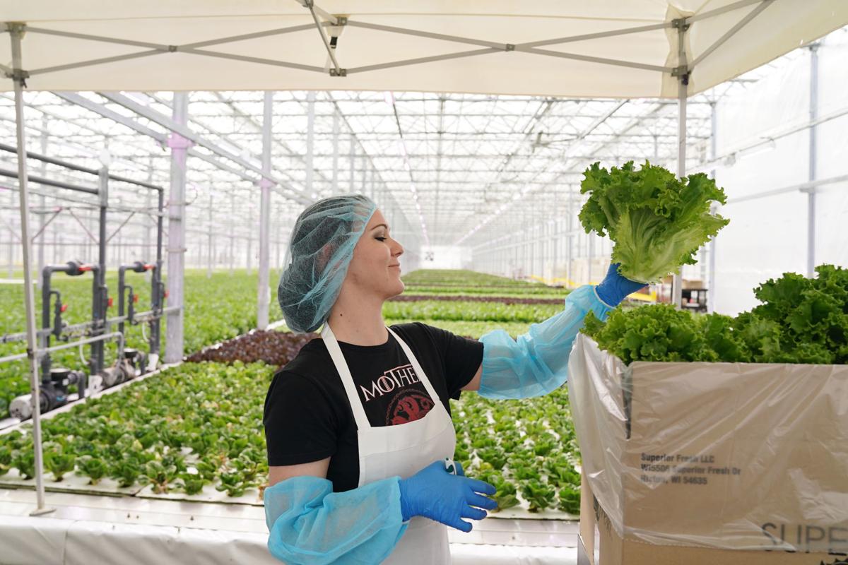 Huge Wisconsin operation shows promise of aquaponics in Midwest