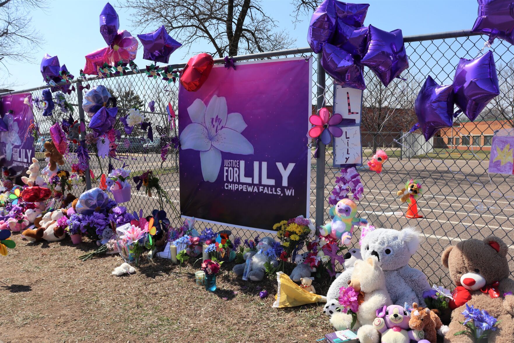 Petition started to create a Lily Alert memorials sprout up