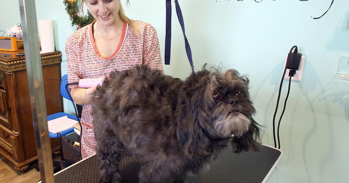 Steve Cahalan: Marcie's Pet Spa in West Salem to relocate, double in size and add new staff - Vimarsana News