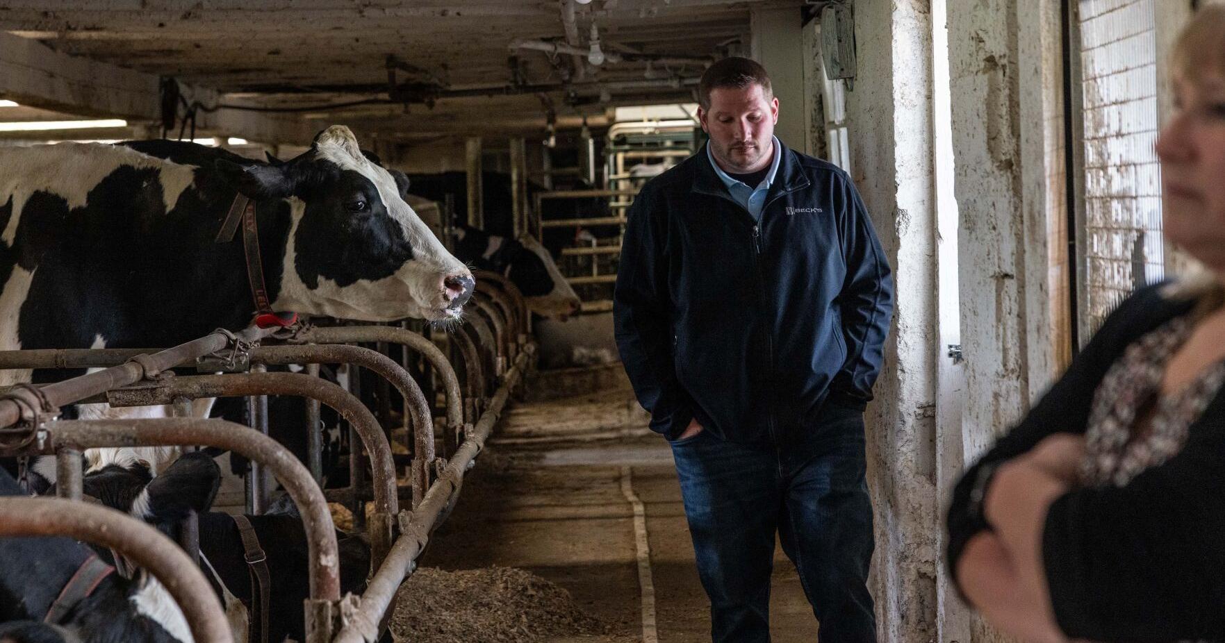 Robotic milking revolutionizes Monroe County dairy farm - Vimarsana News