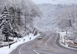 Picture perfect snow