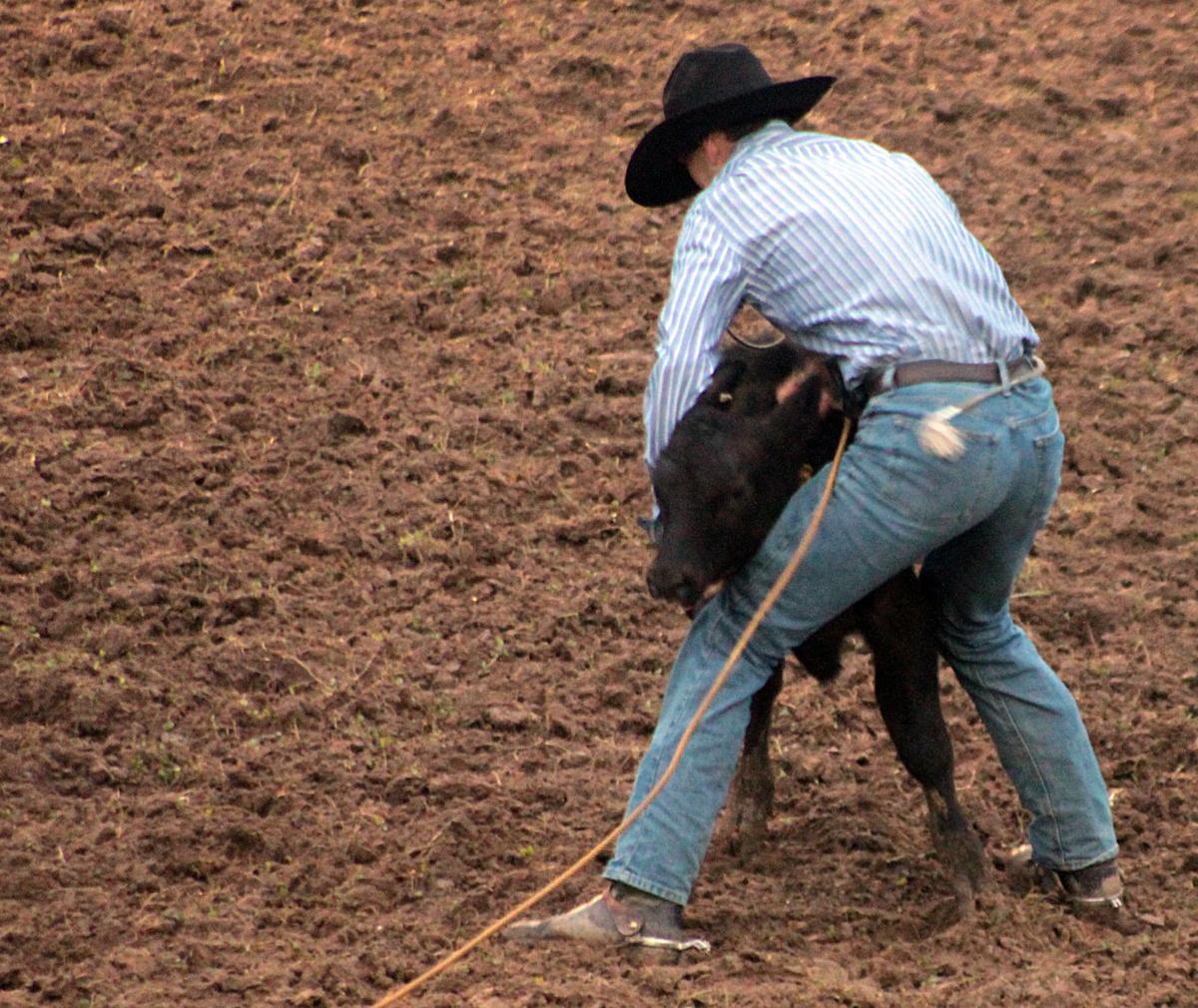 Scenes from the 2017 Jackson County Fair