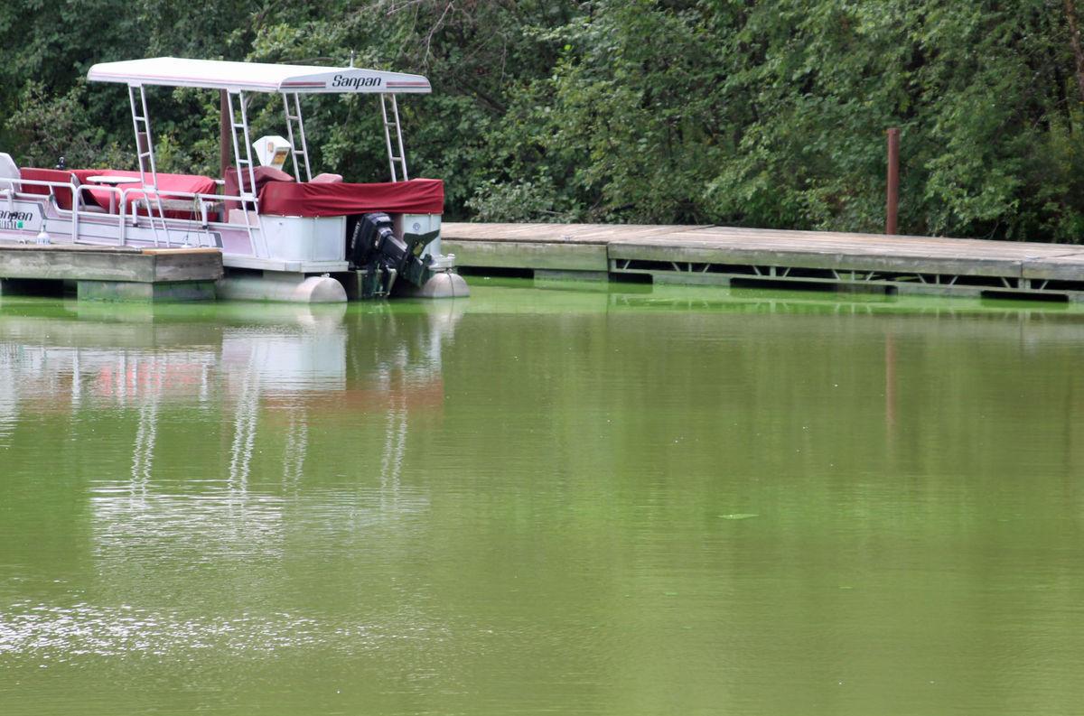 Castle Rock, Petenwell lake algae blooms worsening