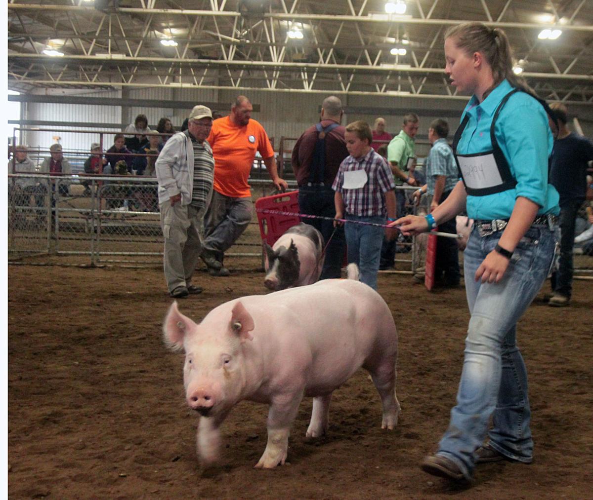 Scenes from the 2017 Jackson County Fair