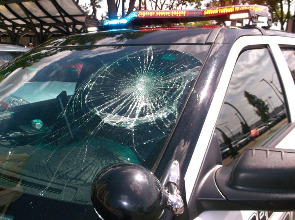 Sparta man attacks La Crosse officer, squad car