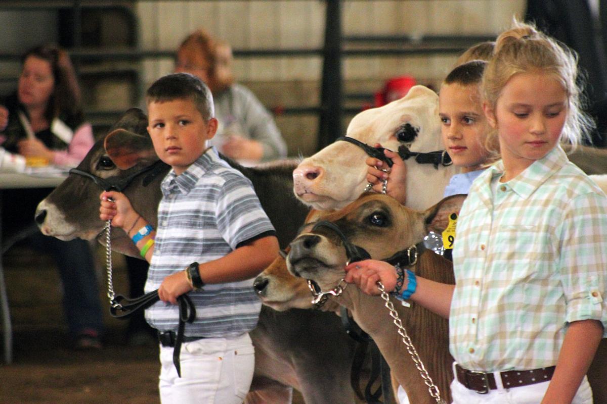 Scenes from the 2017 Jackson County Fair