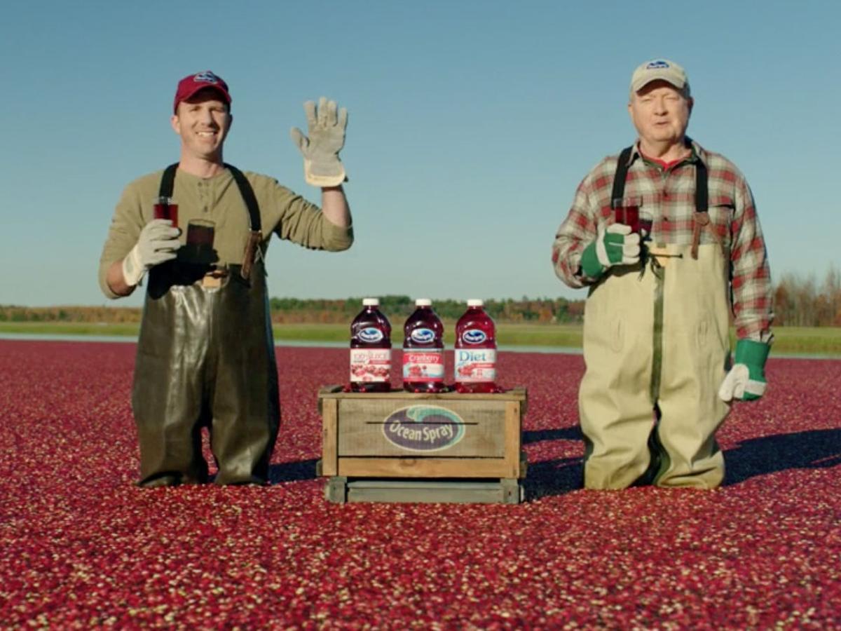 Cranberry Commercial Icons To Visit Warrens Jackson County Chronicle Lacrossetribune Com Cranberry Commercial Icons To Visit Warrens Jackson County Chronicle Lacrossetribune Com