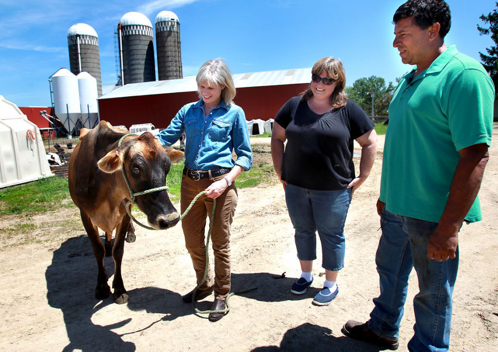 Mary Burke rejects most of Scott Walker's dramatic environmental ...