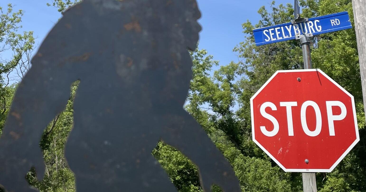 Get Lost! In Vernon County: Seelyburg (Star) - Vimarsana News