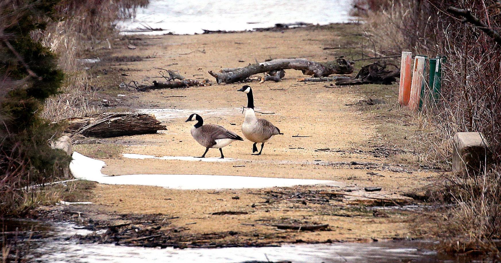 Marsh trails closure extended for Xcel construction in La Crosse - Vimarsana News