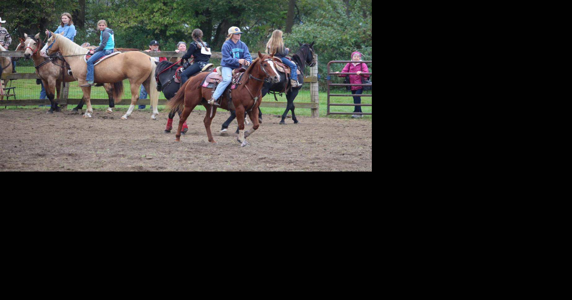 Viola Horse and Colt Show to celebrate 92 years Sept. 2223