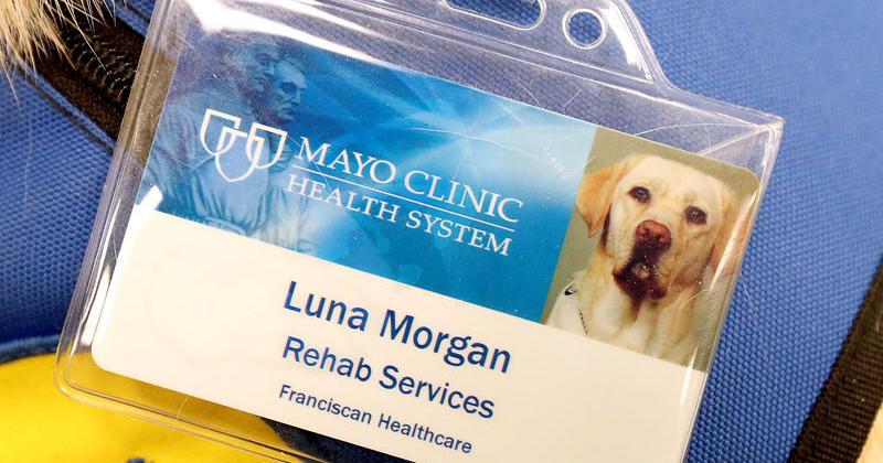 Patient couple donates to Mayo Clinic Health System's facility dog program