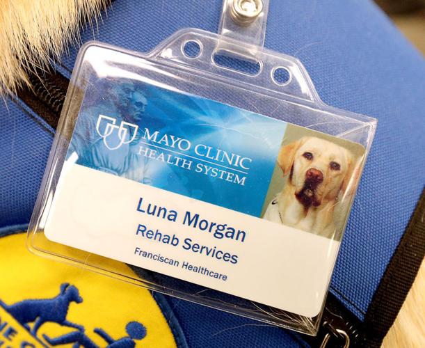 Patient couple donates to Mayo Clinic Health System's facility dog program
