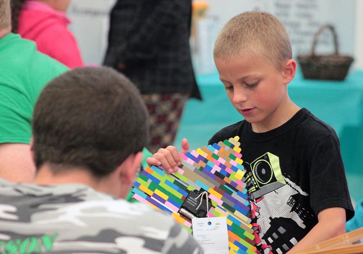 Scenes from the 2017 Jackson County Fair