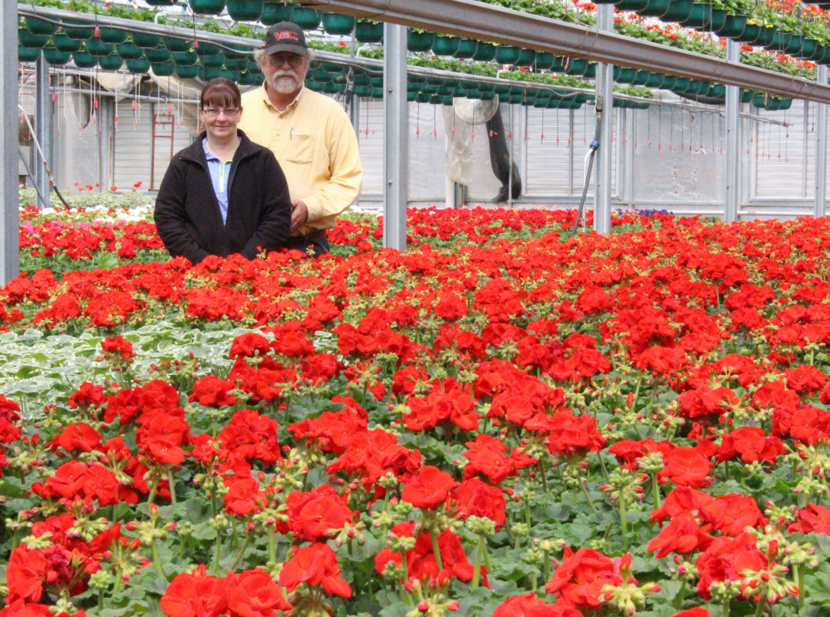 Longhorn owners change business model to delight of locals Local News