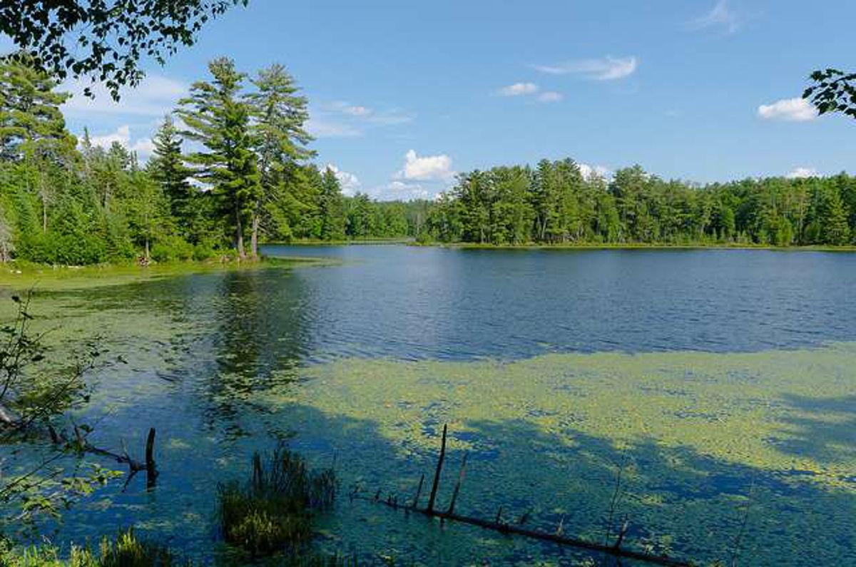 Wisconsin Dnr Designates 240 New Waters Impaired Lacrossetribune Com