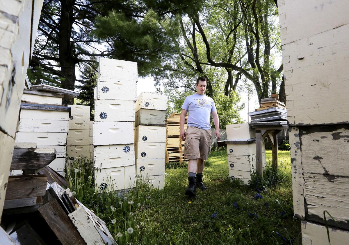 For Wisconsin beekeepers, a question To migrate, or not?