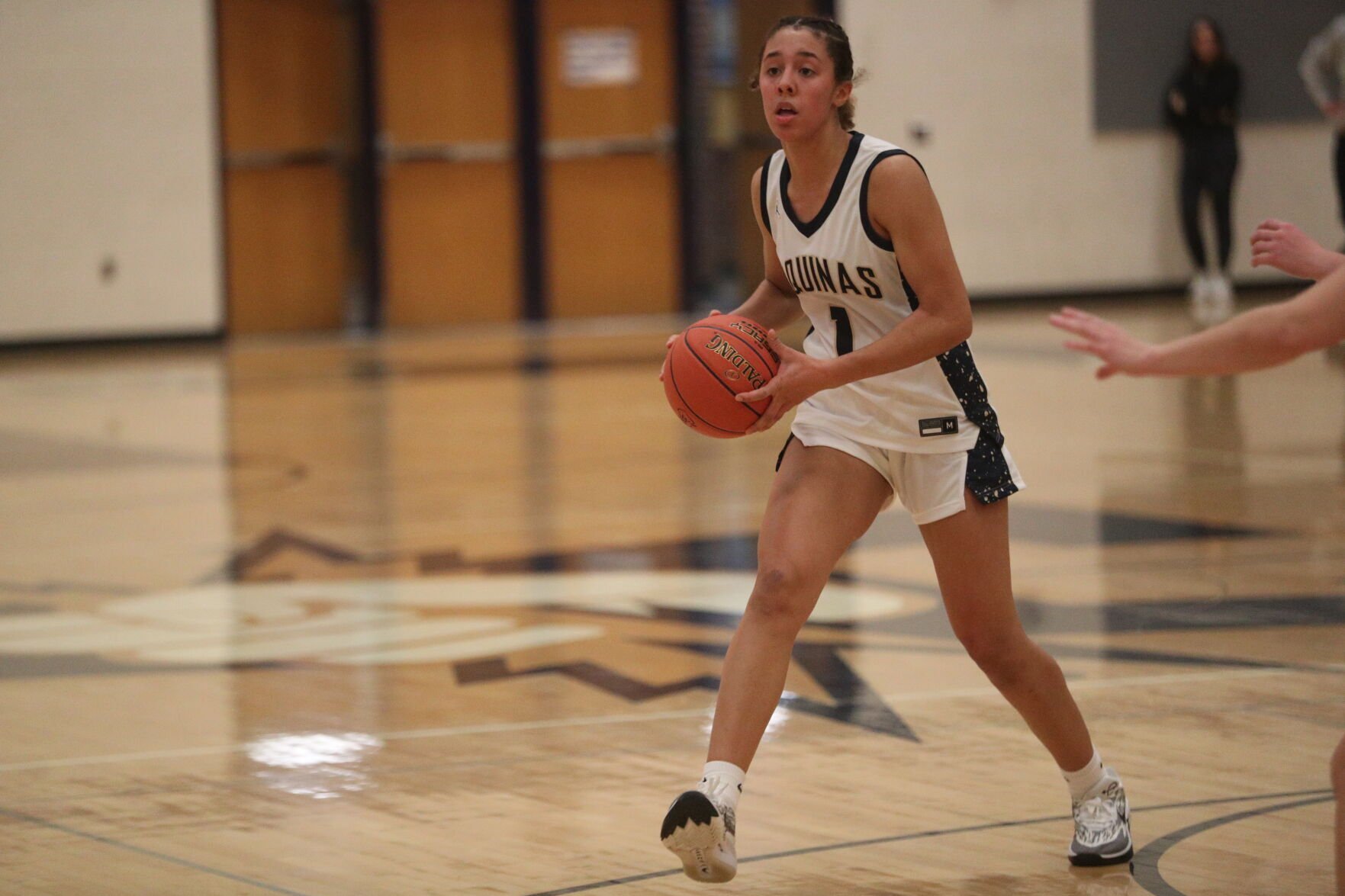High school sports roundup: La Crosse Aquinas girls basketball falls short in Minnesota