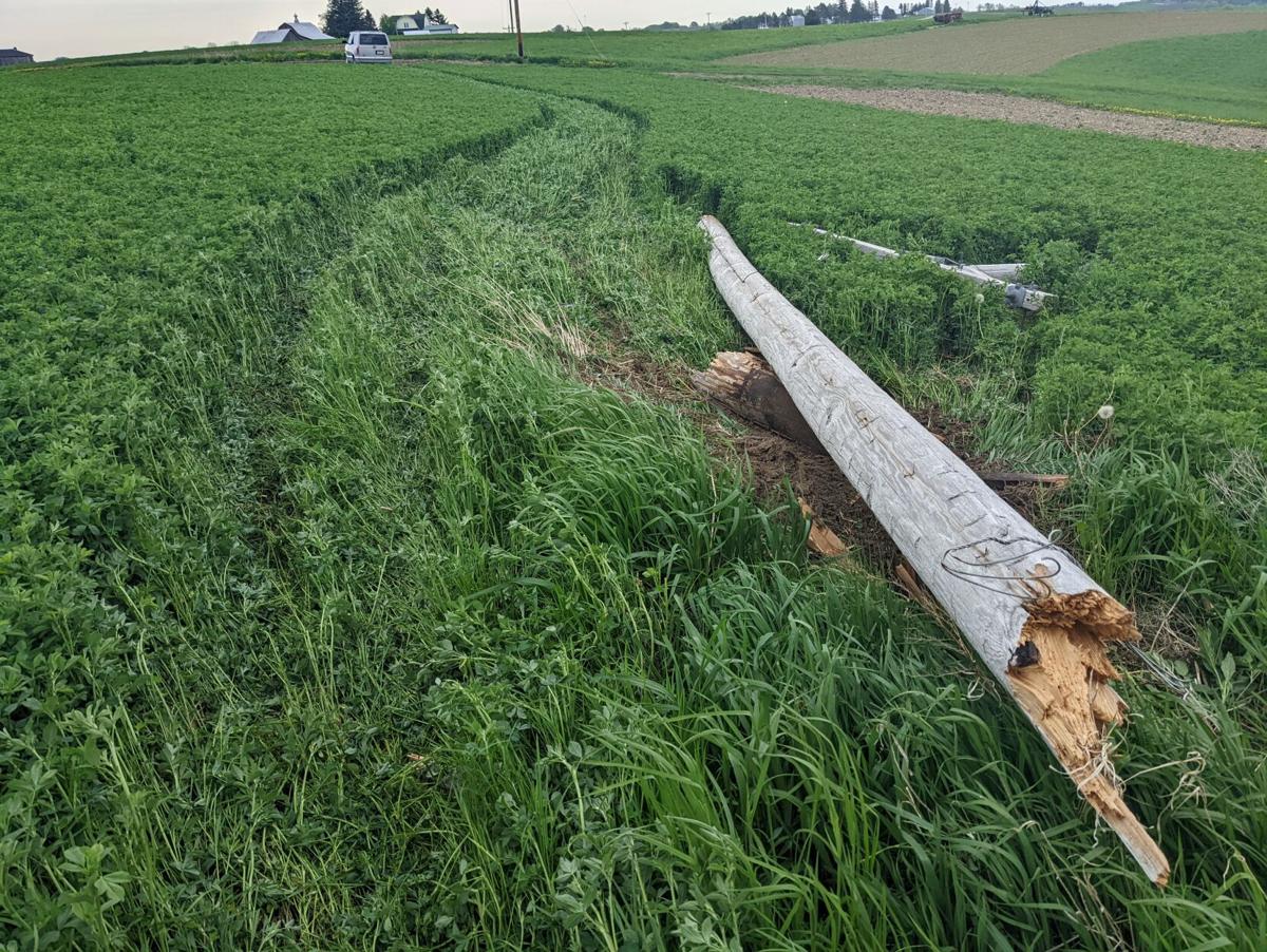 Westby woman strikes utility pole in onevehicle crash
