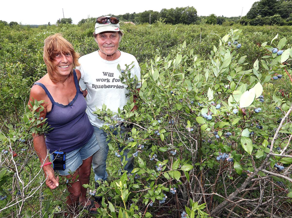 Owners of Field of Dreams farm bet big on baseball with new development