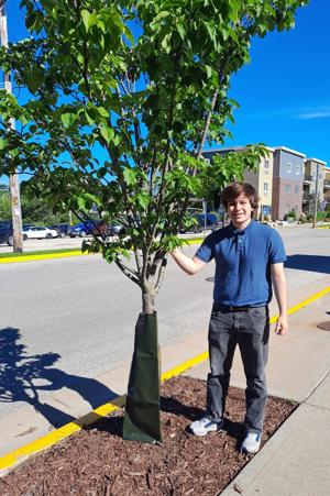 City of Viroqua introduces new tree program
