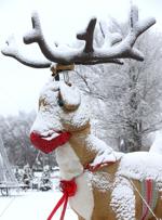 Picture perfect snow