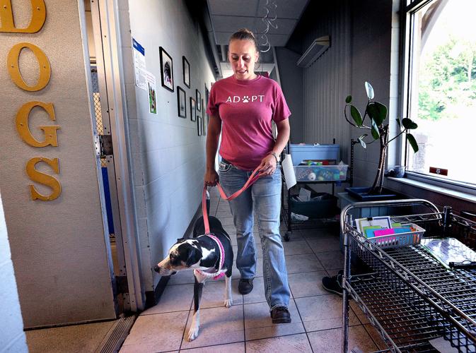 Inmates at Prairie du Chien prison help dog heal from life of trauma