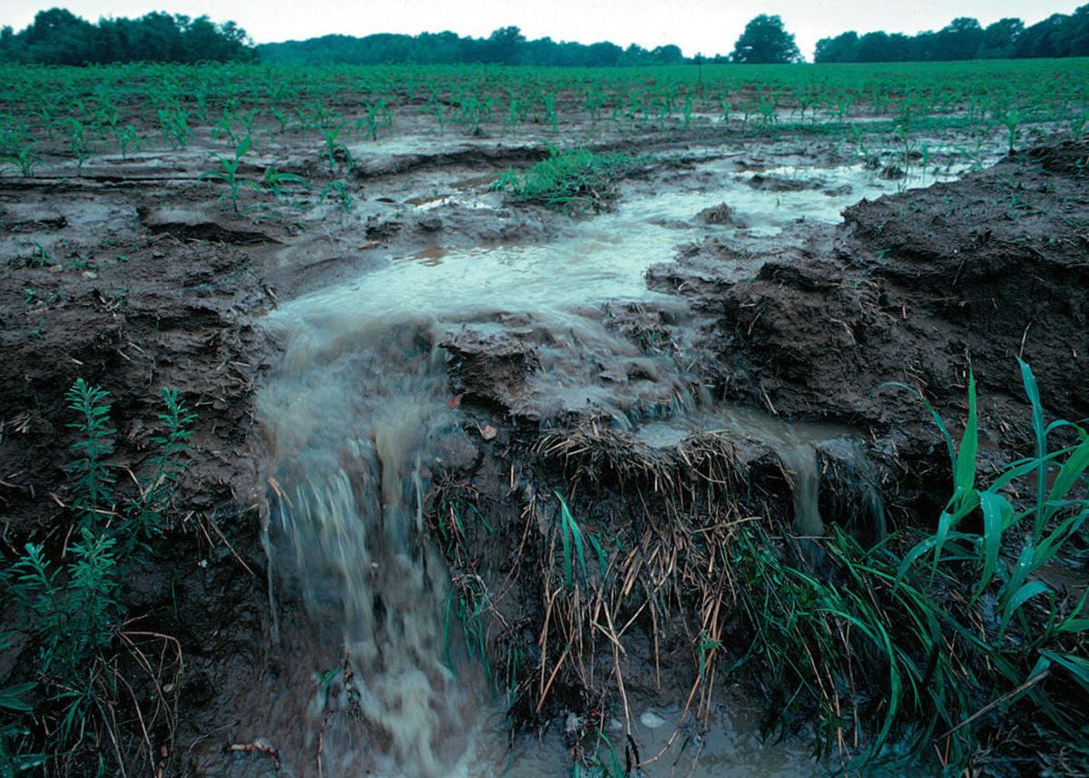 Stepp blames budget, work rules for DNR failure at pollution control