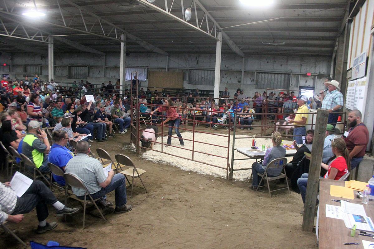 Scenes from the 2017 Jackson County Fair