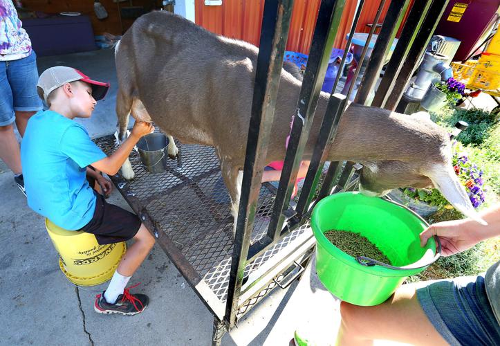 Summer Break Escape to Rainbow Ridge Farm Camp