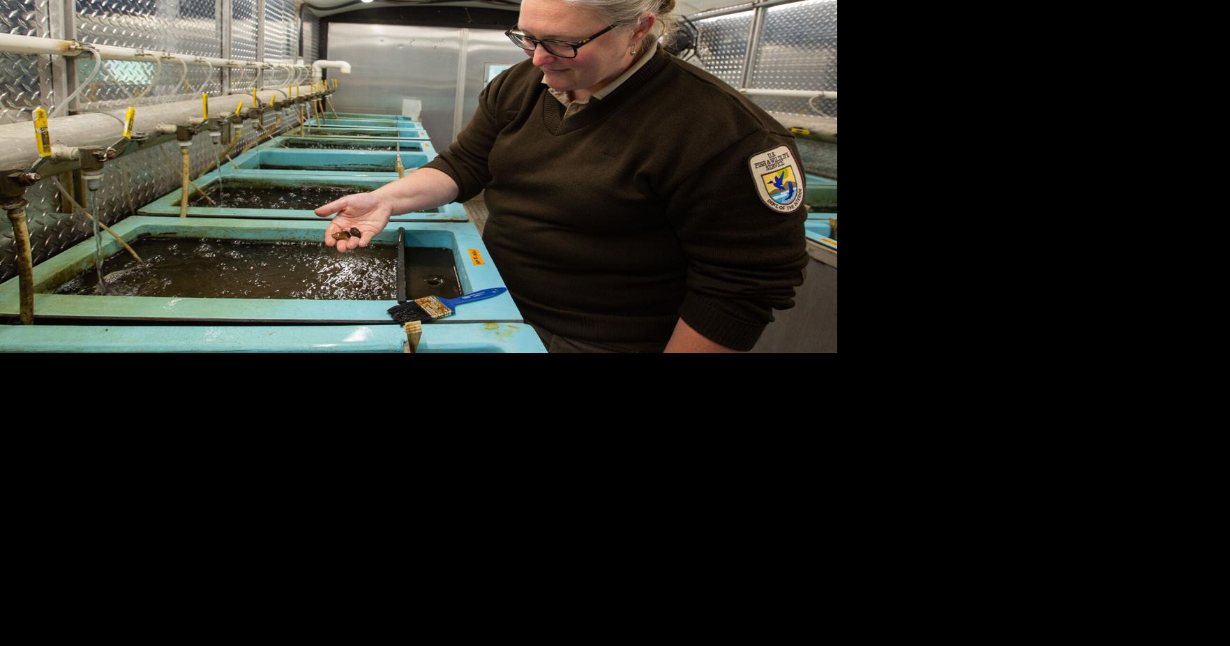 La Crosse Tribune reporter Steve Rundio's favorite stories of 2023