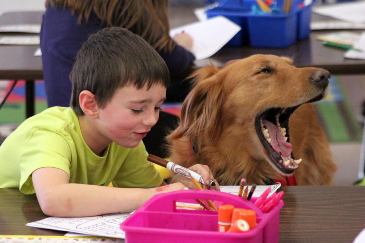MelroseMindoro uses therapy dogs in the classroom Couleecourier
