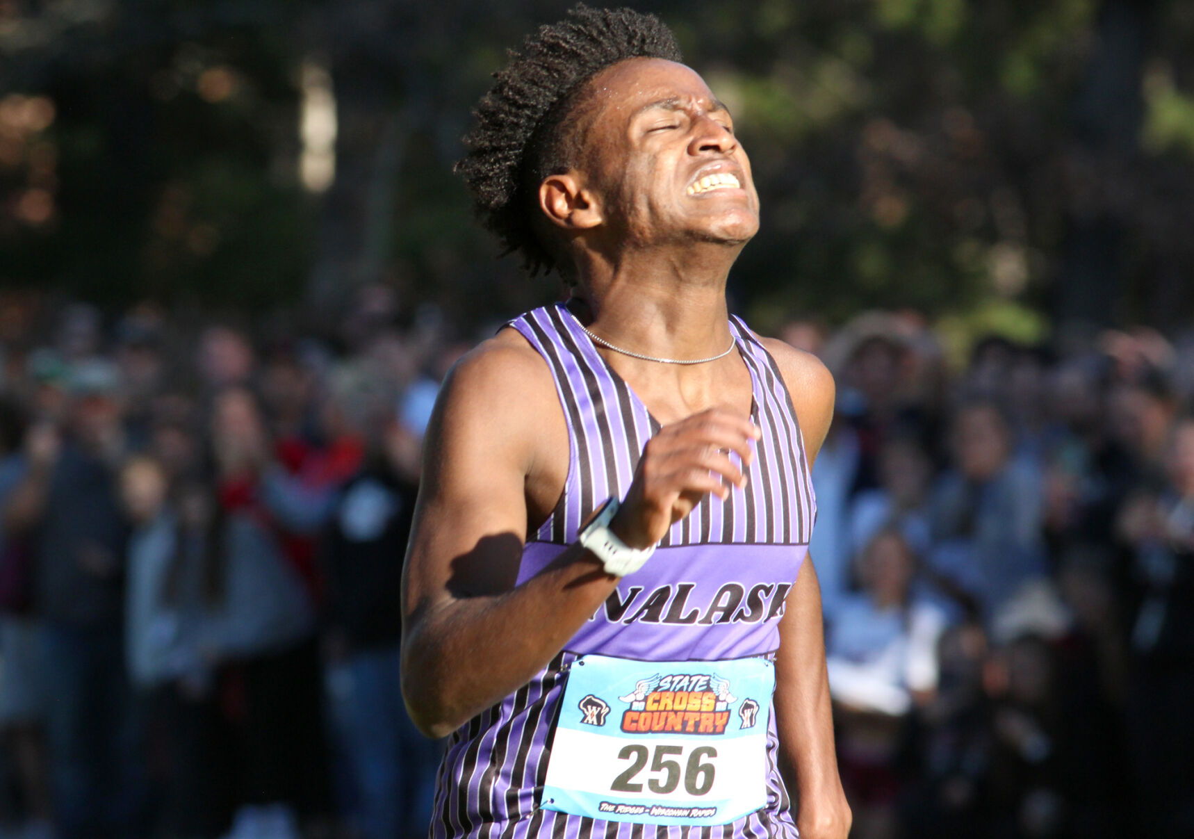 IN PHOTOS WIAA state cross country meet