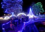 Rotary Lights opens