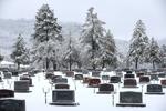 Picture perfect snow