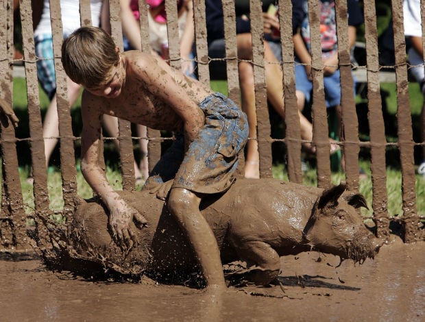 Used Cars For Sale In Chicago >> Cops to monitor church's pig wrestling event Used Cars For Sale In Chicago >> Cops to monitor church's pig wrestling event