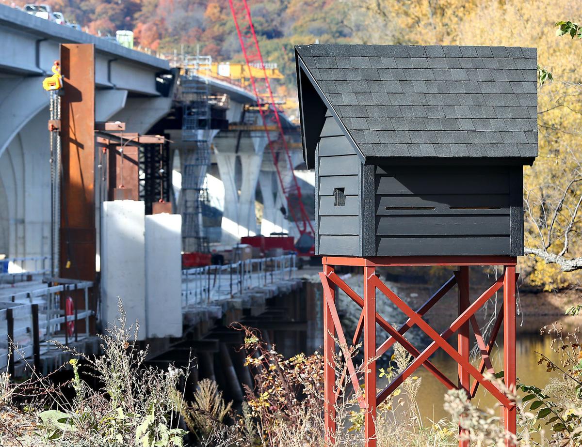 DOT builds condos for bats under I90 bridge Local