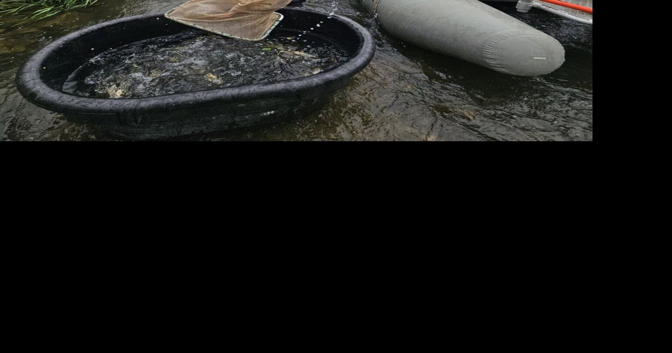 Electrofishing, Coon Creek fisheries updates to be given at meeting