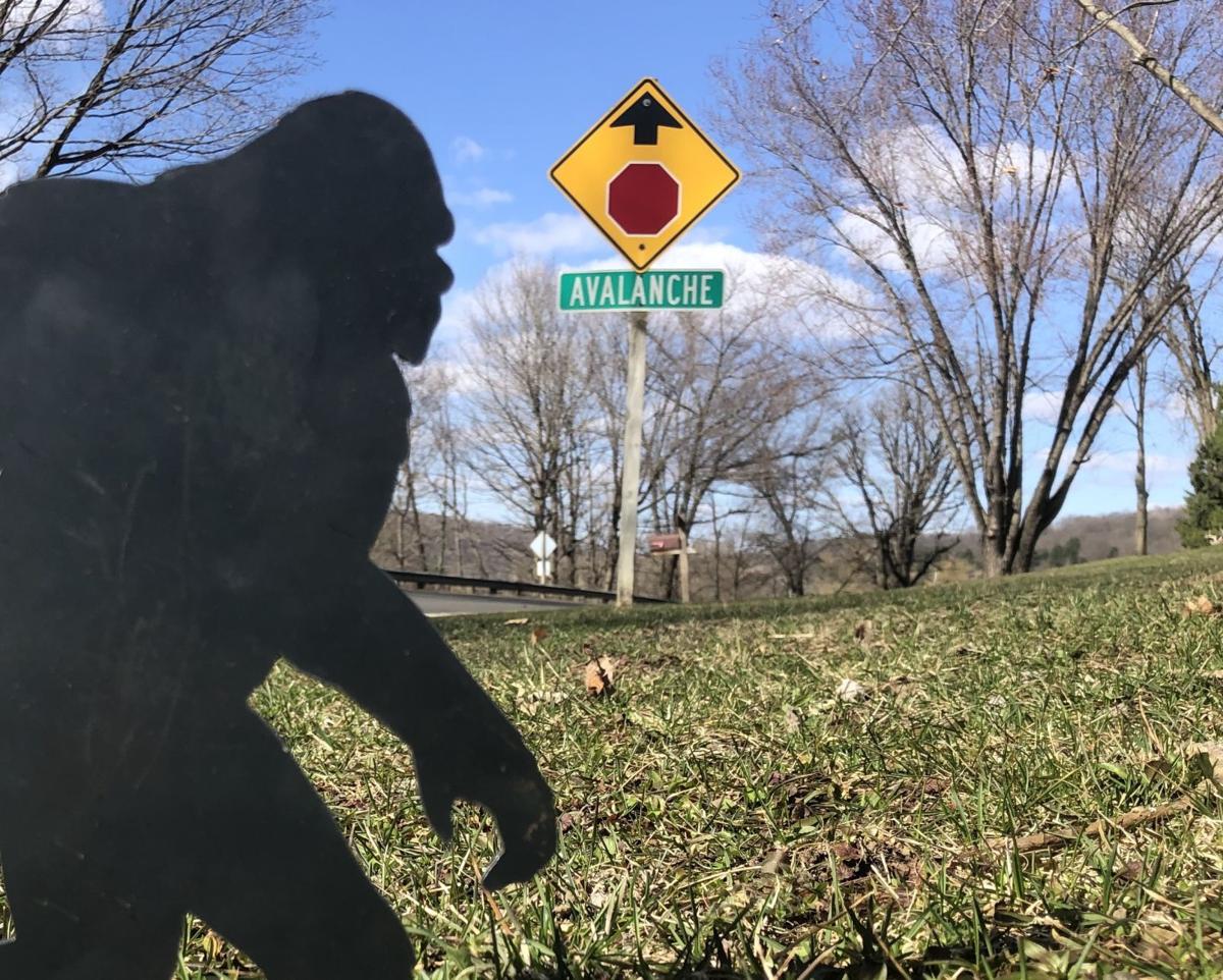 Get Lost! In Vernon County: Avalanche