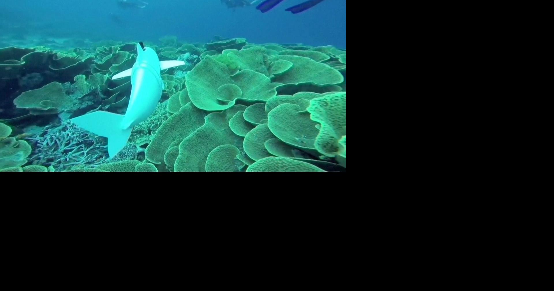 Something's Fishy! Swiss Underwater Robot with Tail of a Fish Collects Environmental DNA