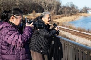 Annual tundra swan migration draws crowds at Brownsville Overlook
