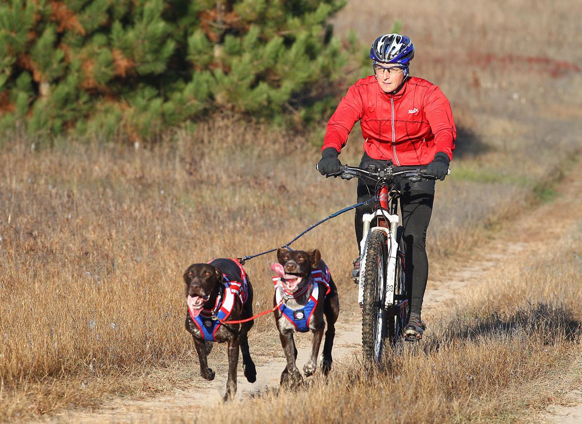 Photos Sled Dog Training