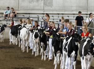 Wisconsin has a new Alice in Dairyland, but she didn't grow up on a farm