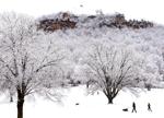 Picture perfect snow