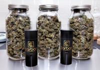 Carbon Cannabis